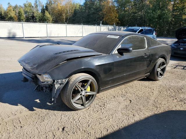 2014 FORD MUSTANG, 