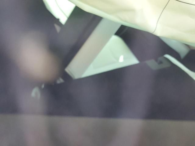 5YJ3E1EA1RF865032 - 2024 TESLA MODEL 3 ვერცხლისფერი ფოტო 10