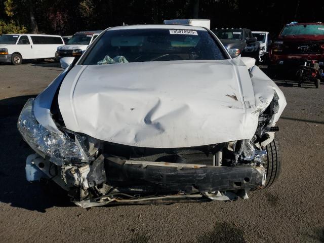 1HGCP2F77AA143176 - 2010 HONDA ACCORD EX WHITE photo 5