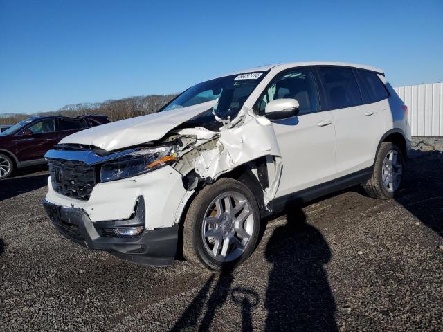 5FNYF8H54RB022484 - 2024 HONDA PASSPORT EXL WHITE photo 1