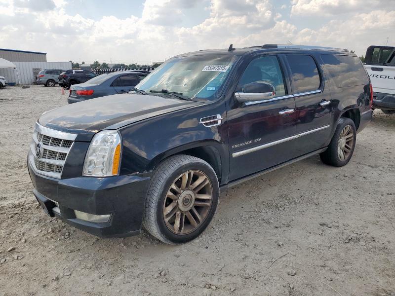 2011 CADILLAC ESCALADE ESV PLATINUM, 
