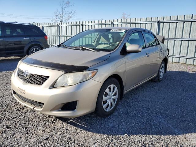 2010 TOYOTA COROLLA BASE, 