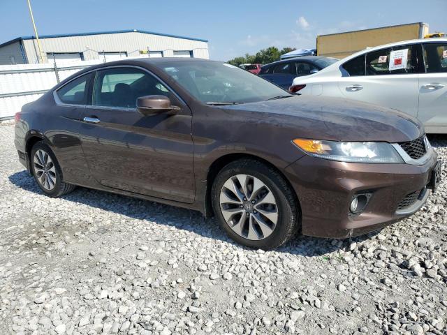 1HGCT1B89DA002831 - 2013 HONDA ACCORD EXL 棕色 照片 4