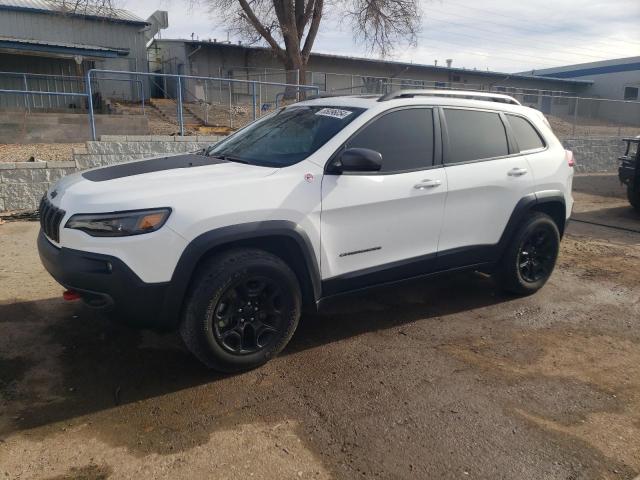 1C4PJMBX5KD257079 - 2019 JEEP CHEROKEE TRAILHAWK თეთრი ფოტო 1