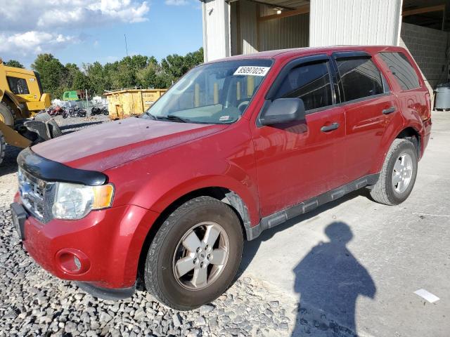 2010 FORD ESCAPE XLS, 