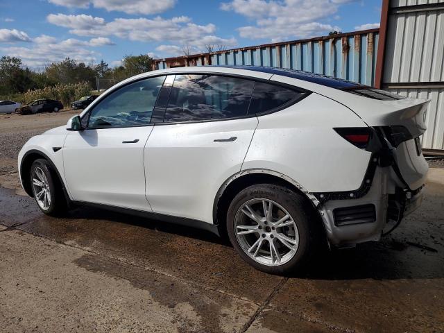 5YJYGDEE4MF295914 - 2021 TESLA MODEL Y Ağ foto 2