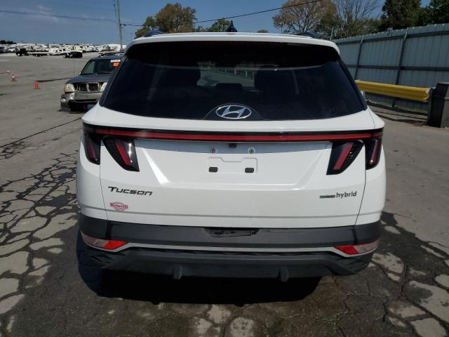 KM8JFCA16PU099966 - 2023 HYUNDAI TUCSON SEL CONVENIENCE Սպիտակ լուսանկար 6
