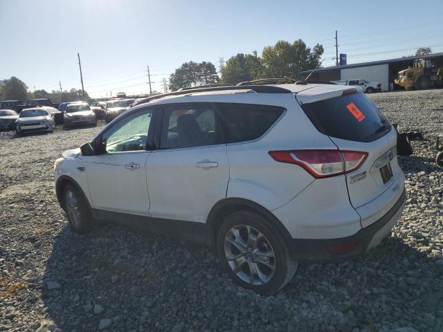 1FMCU0H94DUD90681 - 2013 FORD ESCAPE SEL WHITE photo 2