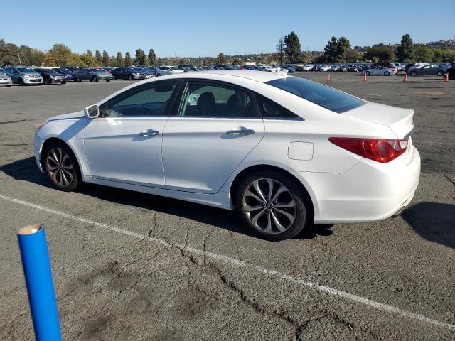 5NPEC4AB9DH671373 - 2013 HYUNDAI SONATA SE Ақ фото 2