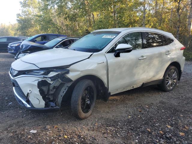 2021 TOYOTA VENZA LE, 