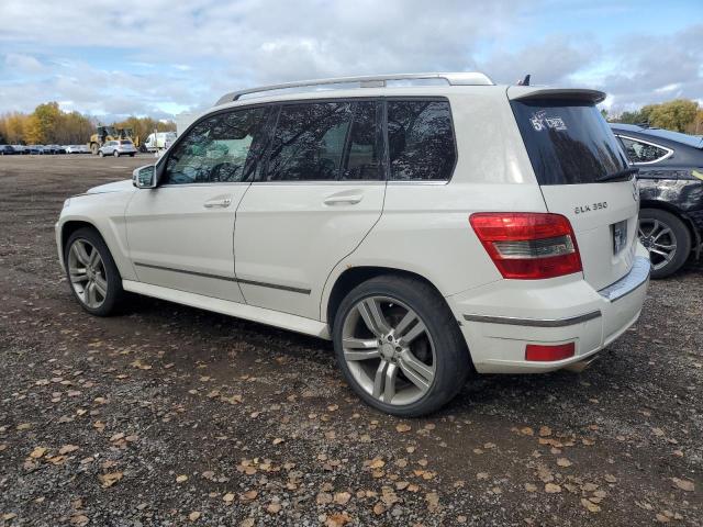 WDCGG8HB7AF388318 - 2010 MERCEDES-BENZ GLK 350 4MATIC WHITE photo 2