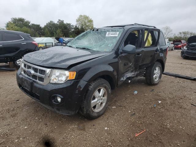 2009 FORD ESCAPE XLT, 