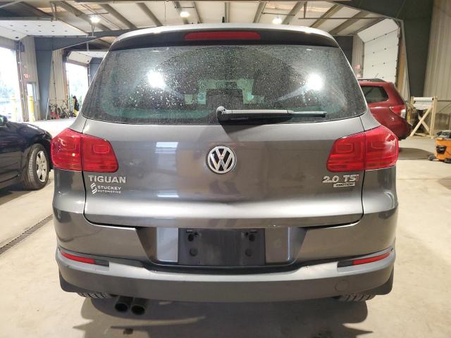 WVGBV3AX4EW549644 - 2014 VOLKSWAGEN TIGUAN S GRAY photo 6
