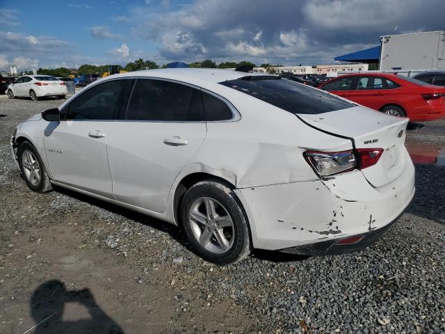 1G1ZB5STXRF135303 - 2024 CHEVROLET MALIBU LS თეთრი ფოტო 2