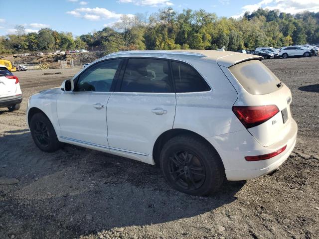 WA1LFAFP6DA071171 - 2013 AUDI Q5 PREMIUM PLUS Ақ фото 2