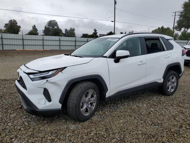 2025 TOYOTA RAV4 XLE, 