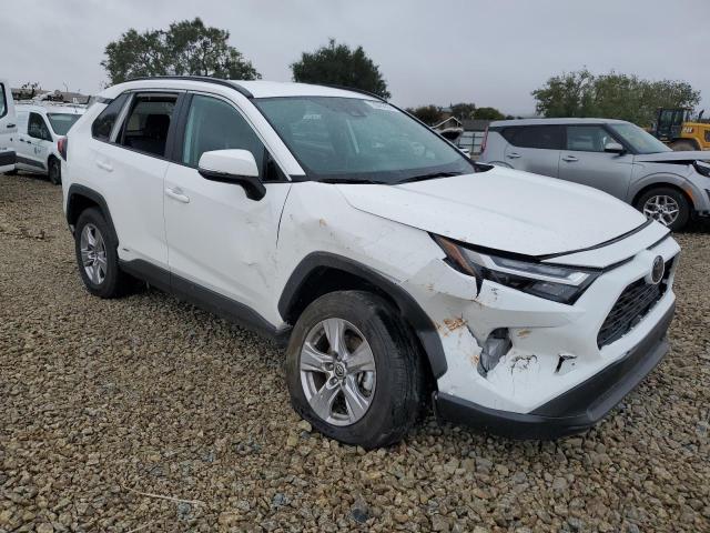 2T3RWRFV4SW264687 - 2025 TOYOTA RAV4 XLE WHITE photo 4