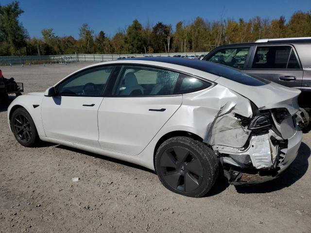 5YJ3E1EA6PF693240 - 2023 TESLA MODEL 3 WHITE photo 2