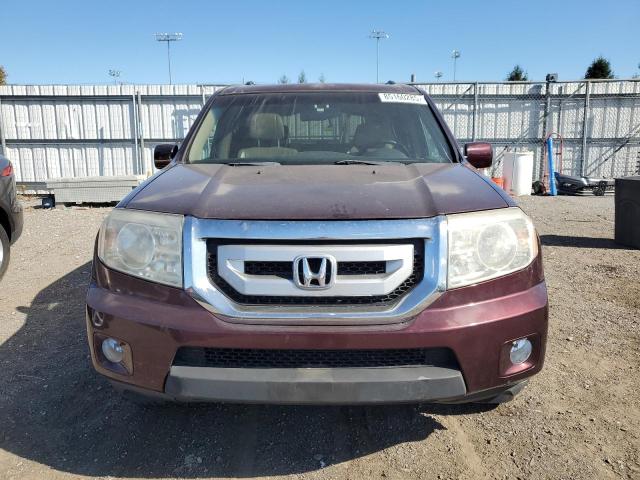 5FNYF4H55BB050812 - 2011 HONDA PILOT EXL MAROON photo 5