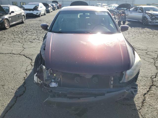 JHMCP26848C070143 - 2008 HONDA ACCORD EXL BURGUNDY photo 5