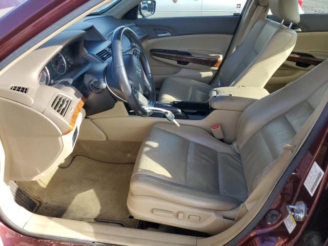 JHMCP26848C070143 - 2008 HONDA ACCORD EXL BURGUNDY photo 7