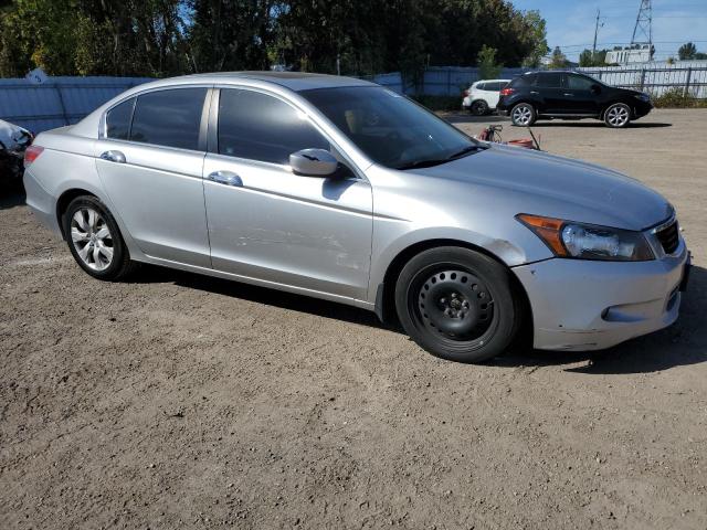 1HGCP36808A801557 - 2008 HONDA ACCORD EXL 银色 照片 4
