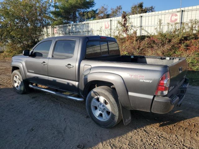 5TELU42N99Z613880 - 2009 TOYOTA TACOMA DOUBLE CAB Boz foto 2