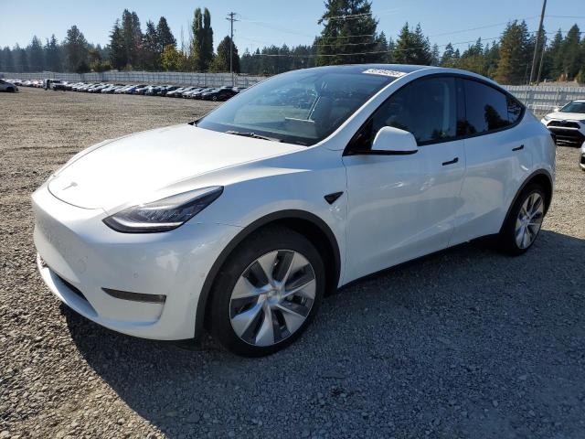 2021 TESLA MODEL Y, 
