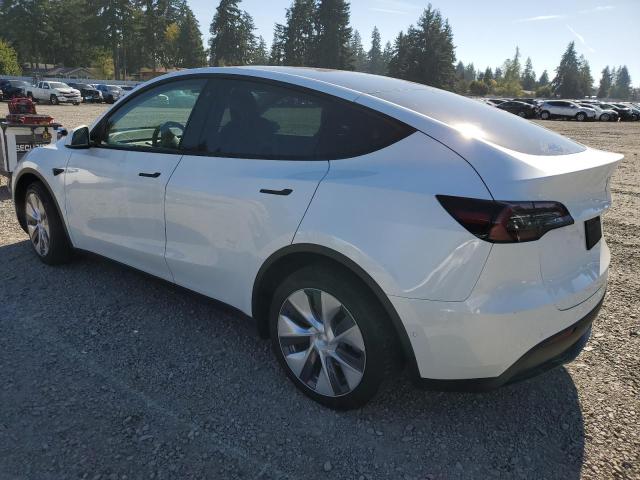 5YJYGDEE0MF278558 - 2021 TESLA MODEL Y 白色 照片 2