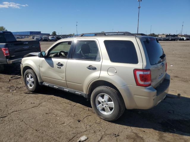 1FMCU0DG9AKD39043 - 2010 FORD ESCAPE XLT 金色 照片 2
