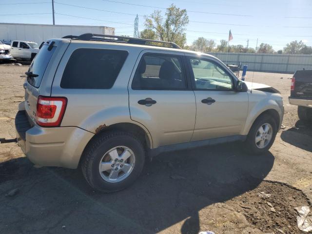 1FMCU0DG9AKD39043 - 2010 FORD ESCAPE XLT 金色 照片 3