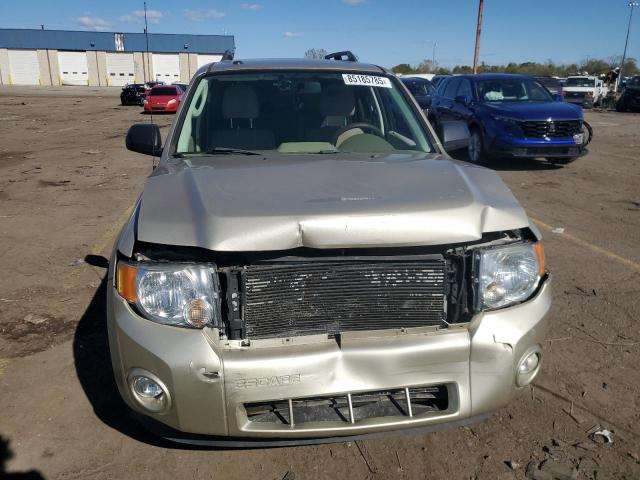 1FMCU0DG9AKD39043 - 2010 FORD ESCAPE XLT 金色 照片 5
