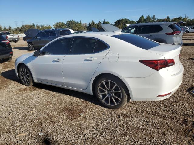 19UUB2F55GA000978 - 2016 ACURA TLX TECH WHITE photo 2