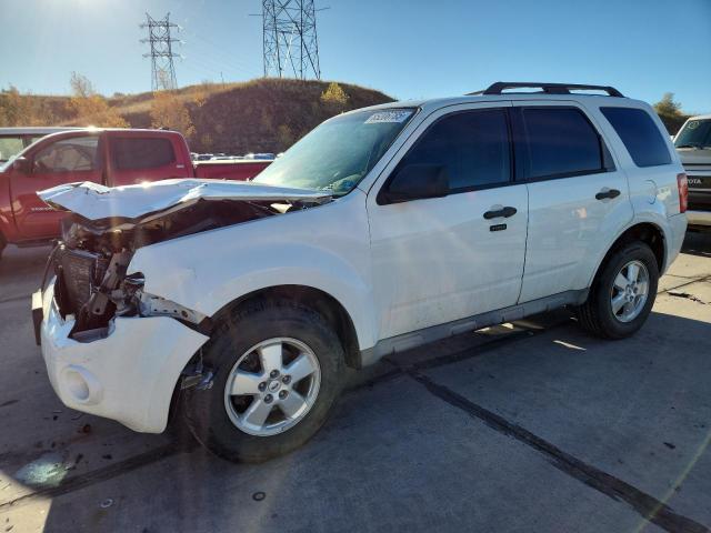 2009 FORD ESCAPE XLT, 