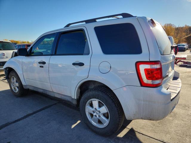 1FMCU03769KB02796 - 2009 FORD ESCAPE XLT 白色 照片 2