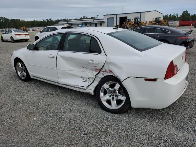 1G1ZH57B69F132316 - 2009 CHEVROLET MALIBU 1LT WHITE photo 2
