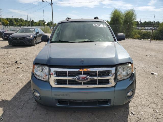 1FMCU0D76BKA51224 - 2011 FORD ESCAPE XLT GREEN photo 5