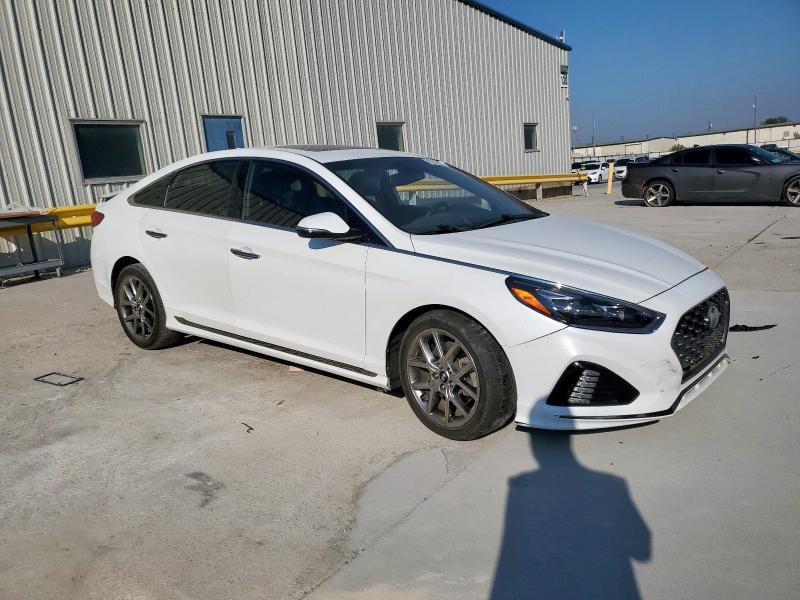 5NPE34AB6JH665462 - 2018 HYUNDAI SONATA SPORT Biały zdjęcie 4