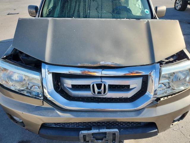 5FNYF38559B023923 - 2009 HONDA PILOT EXL Qızıl foto 12