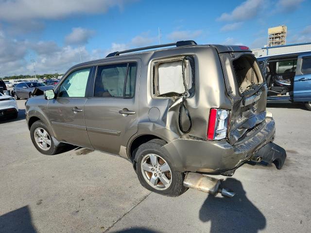 5FNYF38559B023923 - 2009 HONDA PILOT EXL Qızıl foto 2