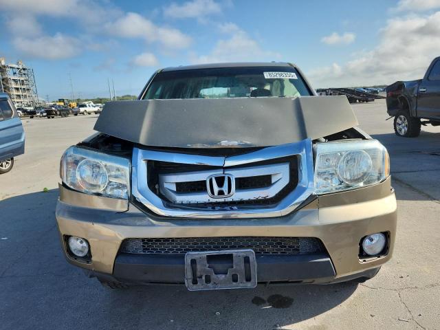 5FNYF38559B023923 - 2009 HONDA PILOT EXL Qızıl foto 5