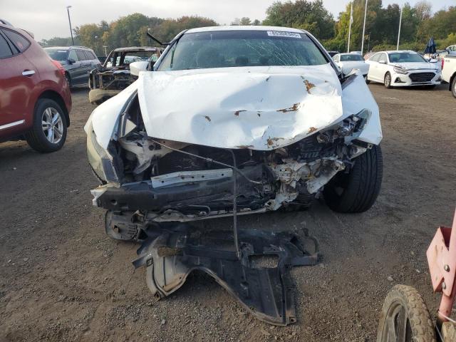 1HGCS12309A012842 - 2009 HONDA ACCORD LX 白色 照片 5