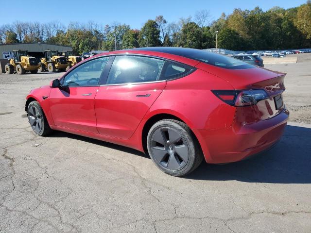 5YJ3E1EB6PF463853 - 2023 TESLA MODEL 3 أحمر صورة 2