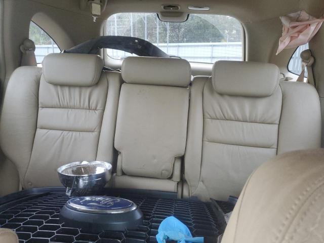 JHLRE48728C060618 - 2008 HONDA CR-V EXL 绿色 照片 10