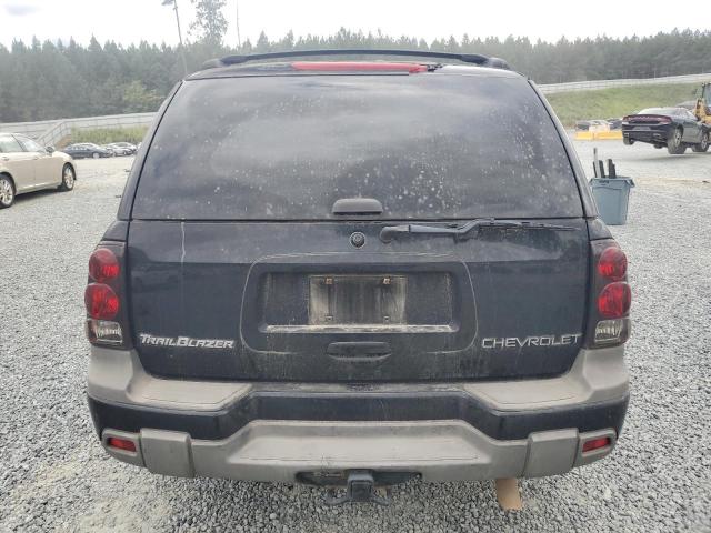 1GNDT13S032393090 - 2003 CHEVROLET TRAILBLAZE BLUE photo 6