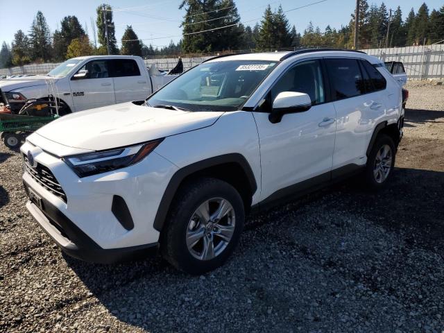 2024 TOYOTA RAV4 XLE, 