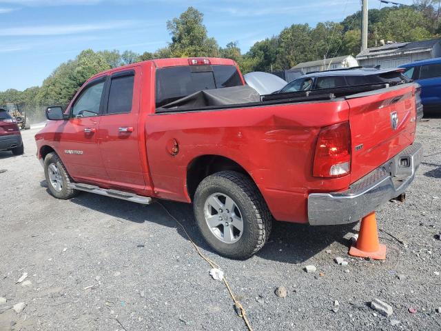 1D7RV1GP6BS513039 - 2011 DODGE RAM 1500 RED photo 2