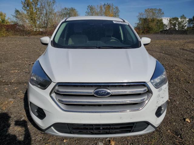 1FMCU9GD7KUB72421 - 2019 FORD ESCAPE SE 白色 照片 5
