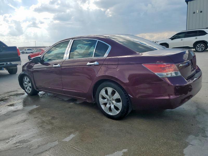 1HGCP26719A038919 - 2009 HONDA ACCORD EX MAROON photo 2
