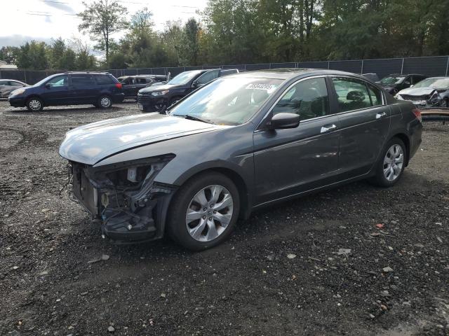 2010 HONDA ACCORD EXL, 